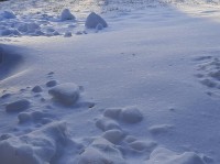 /album/winter-in-wervershoof-2020-21/wervershoof-04-jpg/